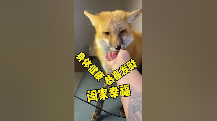 【Fox肉蛋】原来小狐狸也有被戏弄的一天吖～