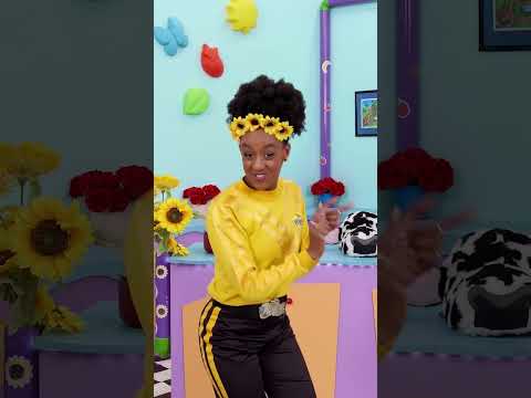 Salam Hello Amharic Language With Tsehay Wiggle TheWiggles Shorts