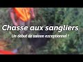 CHASSE AUX SANGLIERS - UN DÉBUT DE SAISON EXCEPTIONNEL ! | Bretagne - Chasse 2020-2021