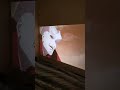 Home Projector,проектор#aliexpress#viral#shortvideo,Projecteur à domicil,家用投影机,מקרן ביתי#фильмы#alic