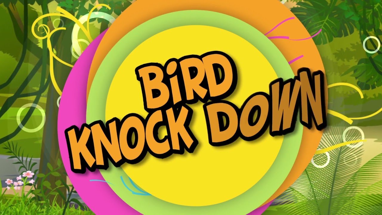 Bird Knock Down YouTube