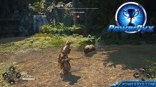 Assassin's Creed 4 Black Flag Resynced - Matador Trophy / Achievement Guide screenshot 1