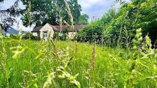 ELDERLY LADY passed away, NOBODY would MOW OVERGROWN YARD, WE did It for FREE