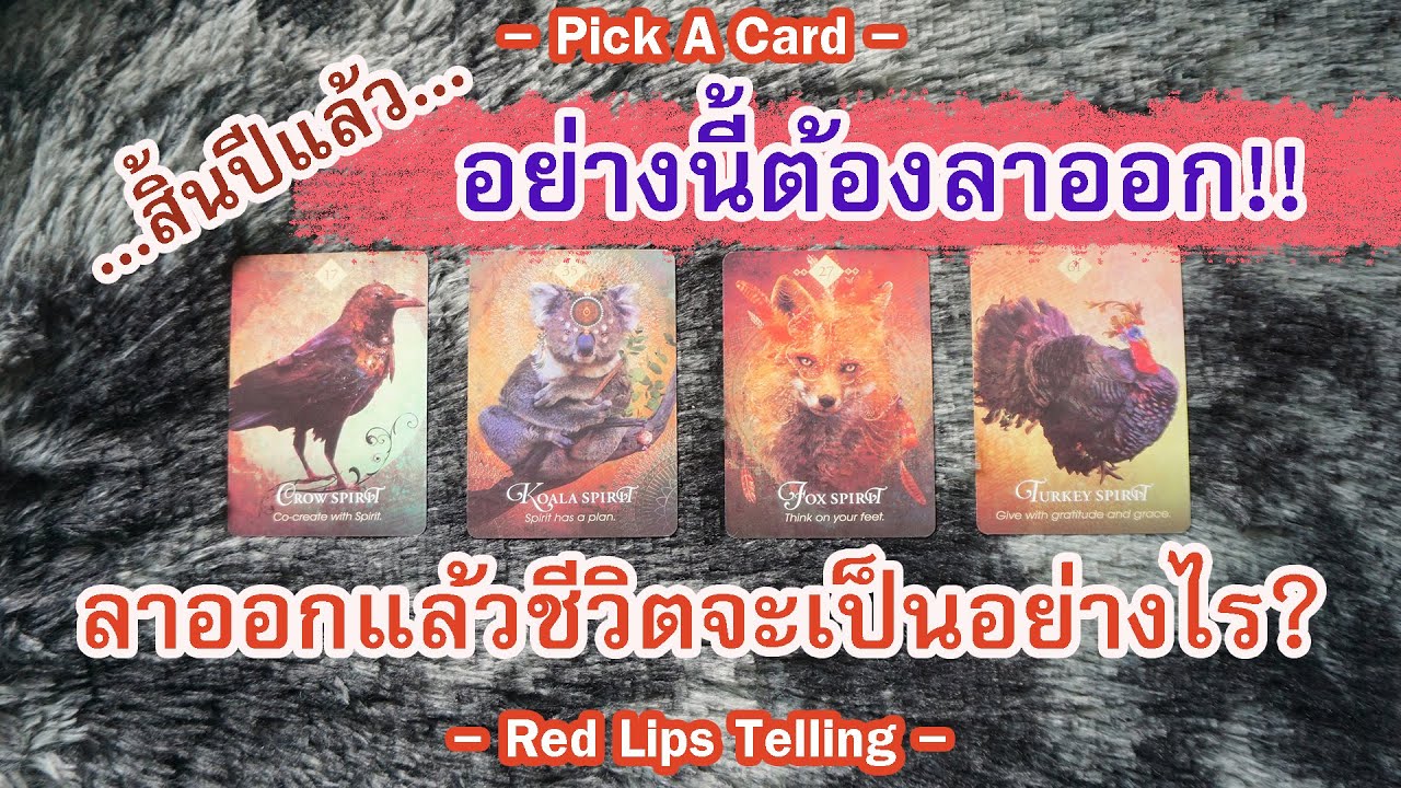 Pick A Card : อย่างนี้ต้องลาออก!! ลาออกดีมั้ย? ลาออกแล้วชีวิตจะเป็นยังไง?