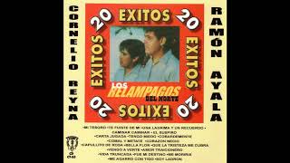 Mi Tesoro - Los Relampagos Del Norte
