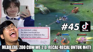 ZOO COW WE 2.0, REACT ML.EXE, KUMPULAN SOAL LUCU, TINGKAH LUCU KUCING -REACTION VIDEO TIKTOK PART 45