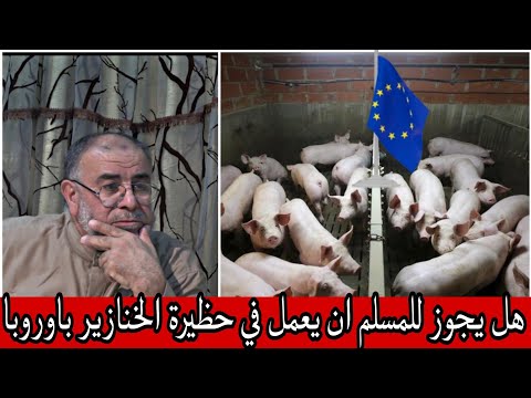 الشيخ عبد الله نهاري هل يجوز للمسلم ان يعمل في حظيرة الخنازير باوروبا