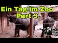 Ein Tag im Zoo Part 3