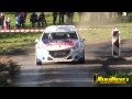 Peugeot Sport 208 T16 Rally Academy Valais ERC 2014 Abbring/Breen