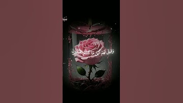 ولا تخزني يوم يبعثون – تلاوة مؤثرة تهز القلوب وتذكرك بيوم عظيم لا مفر منه، فاستمع بخشوع وتدبر.