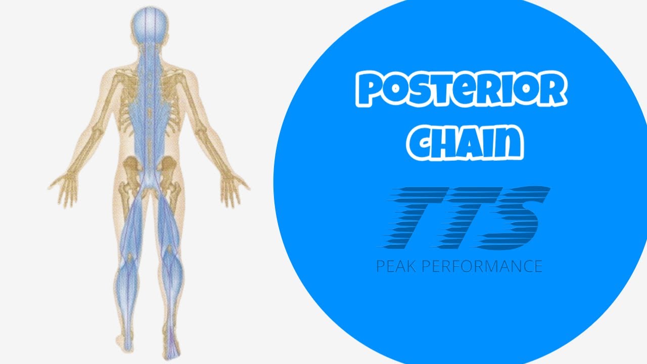 21 WOD (Posterior Chain) YouTube