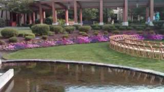 Hagen Entertainment Events