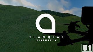 Ooita Japan - Team Quad Fpv