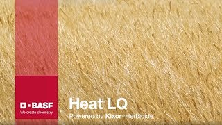 Heat LQ Harvest Aid On Cereals | BASF