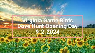 Virginia Dove Hunt 9/2/24