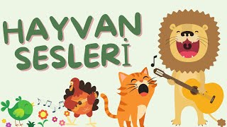 Hayvan Sesleri | Haydi Söyle Şimdi Hayvan Ses Verdi | Eğitici Çocuk Şarkısı