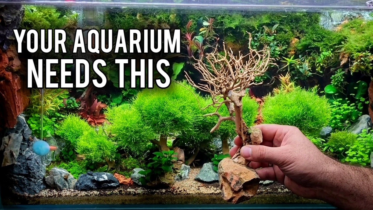 This Aquarium Technique Shouldn't Work...