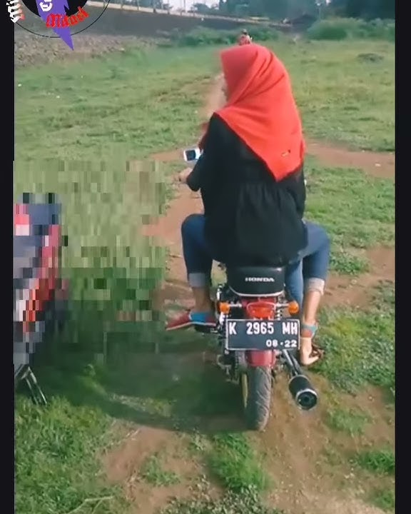 Herex purel