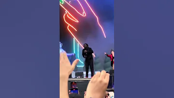 The Best Of Govballnyc 2025 