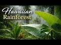 Hawaiian Rainforest Rain Sounds 🌴 Rain in Hawaii Jungle – Relaxing Nature 25min 