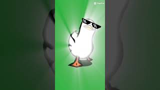 Cool duck#meme#editing#capcut