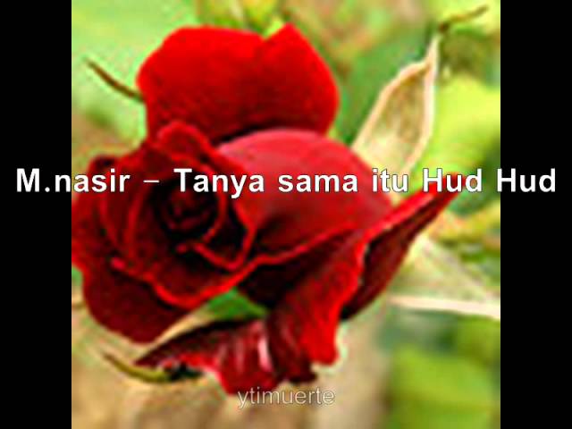 Tanya Sama Itu Hud Hud / Tanya Sama Hud Hud M Nasir : We did not find