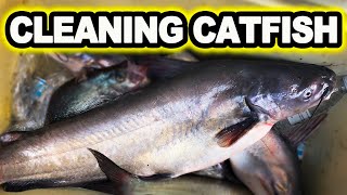 The Easy Way to Clean Catfish