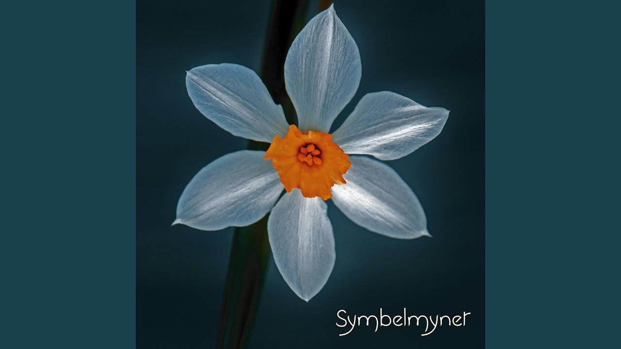 Karma Sequence (feat. Yreri)