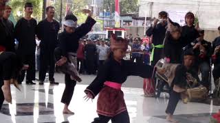 Java Pencak Silat Raksa Bp Rdanak Kembang Tanjung Btm
