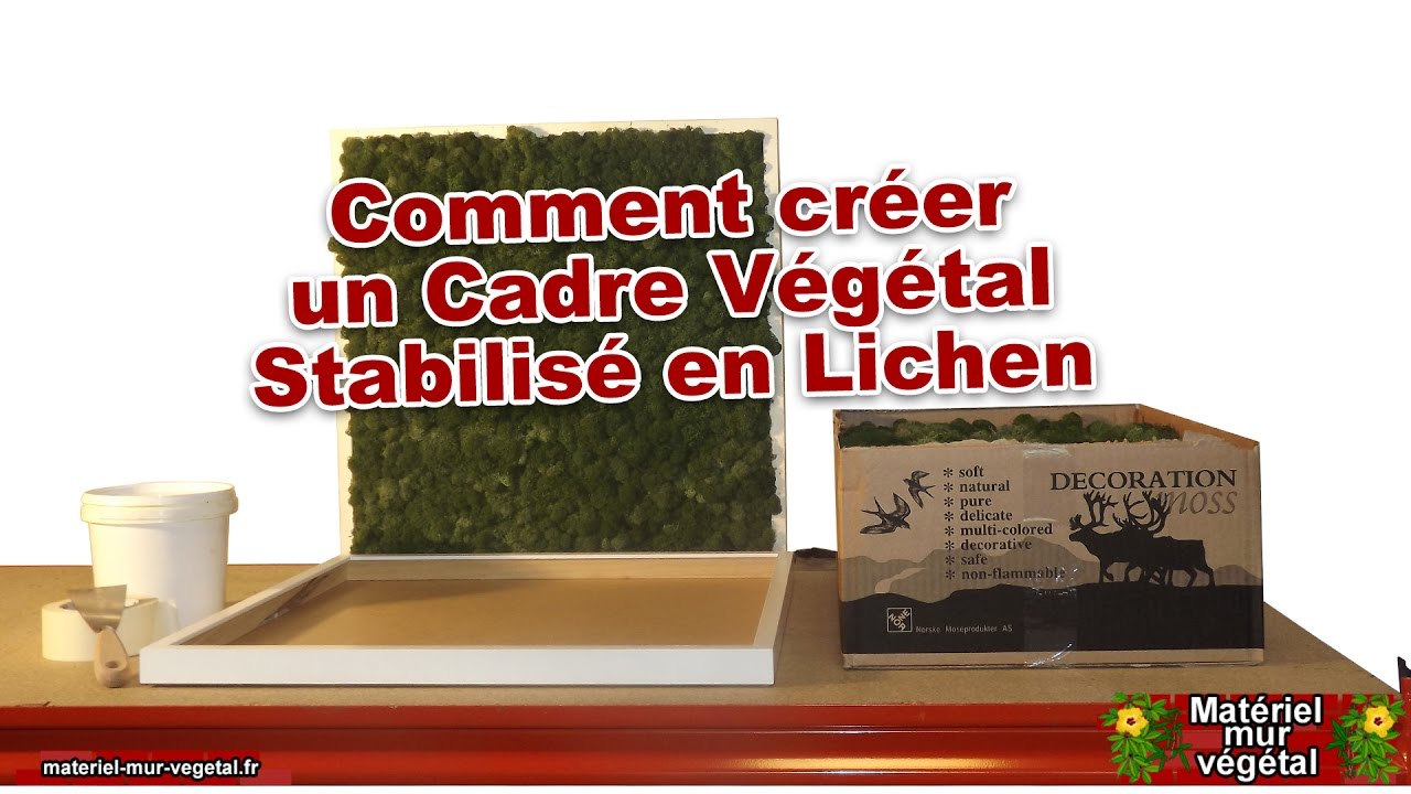 Comment créer un cadre végétal stabilisé en lichen [Matériel Mur Végétal®]