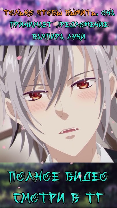 Аниме Новости || Вампирское общежитие || #anime #аниме #анименовости ...