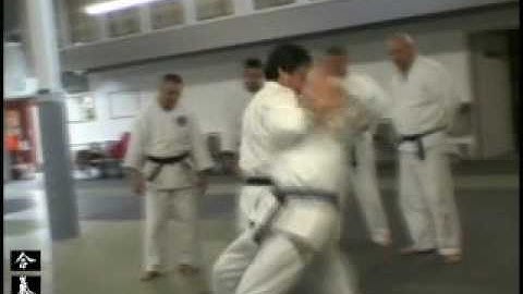 Korean Masters Of Hapkido: Chang, Young-Shil and Master Jeffrey Allen