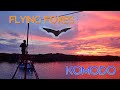 Flying foxes at kalong island komodo national park       