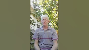 قال إنما أشكو بثي وحزني إلى الله تلاوة بصوت القارئ عامر جبو