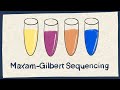 Maxam-Gilbert DNA Sequencing Method Quiz