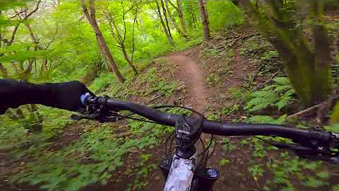 My local trails around Resita #RAW
