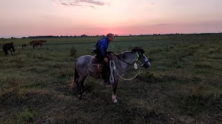 Часть 2. Обучение Жасмин.| Гуси🐣 д. Валеры. 🤠