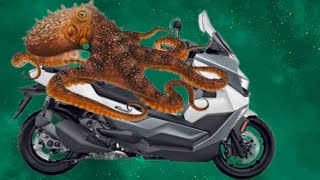 Best Scooters to ride as an Octopus