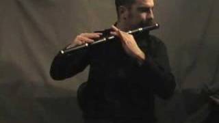 Video-Miniaturansicht von „Harp and Shamrock - Irish Flute - Tradschool“