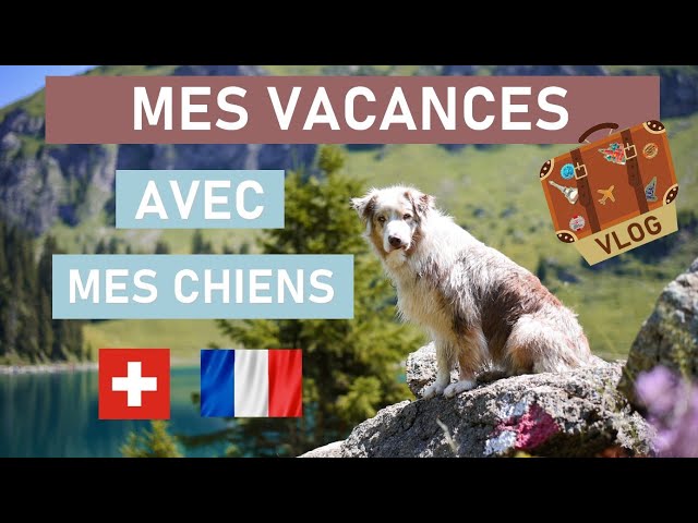 Les vacances en Pays basque avec un chien