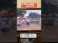 体育祭の保護者リレーが激熱すぎるww#shorts#tiktok#おすすめ#運動会#体育祭#リレー