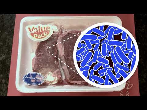 USDA How to Thaw Food Properly