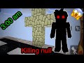 I accidentally killed null and revived him in bedwars (blockman go )