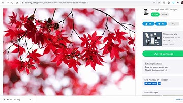 Creating Banners and Header Images in Canvas