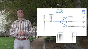 ESX Intro (Part 1 of 6)