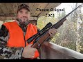 Chasse orignal 2023  dans lbois entre frres 4k