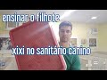 Como usar o Sanitário Canino de forma correta