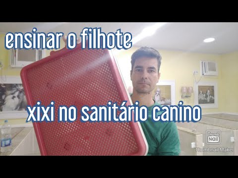 Vídeo: Como tratar um cão com um resfriado