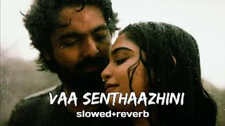 Vaa Senthaazhini  ( slowed + reverb) | Adiye