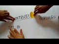 Sistem Kekebalan Tubuh Antigen Antibodi